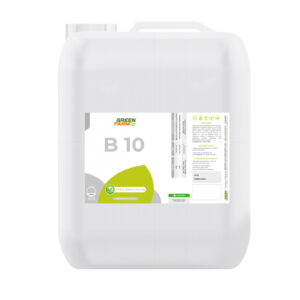 B 10