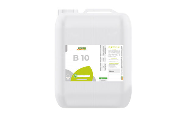 B 10