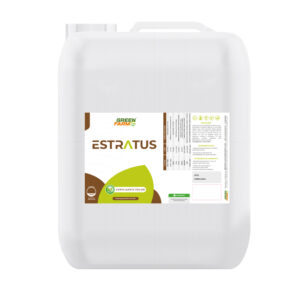 ESTRATUS