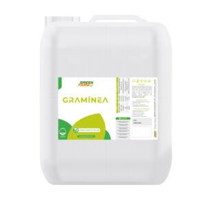 GRAMÍNEA