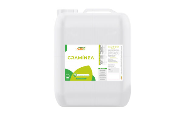 GRAMÍNEA