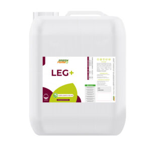 LEG +