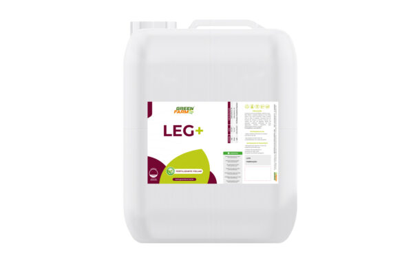 LEG +