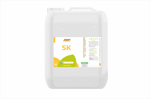 S K