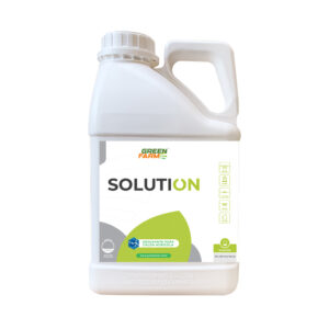 SOLUTION