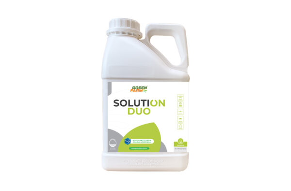 SOLUTION DUO