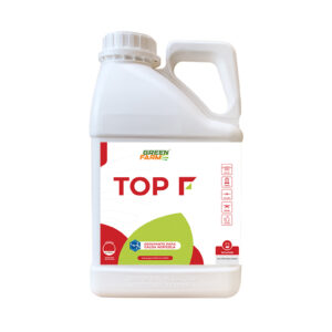 TOP F