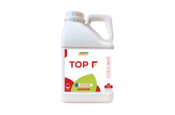TOP F