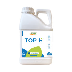 TOP H