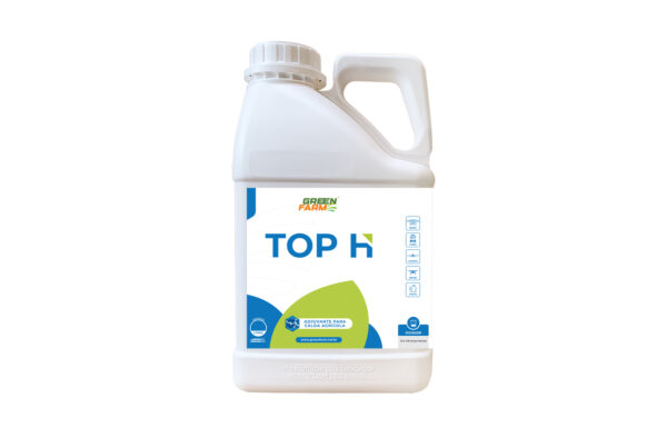 TOP H