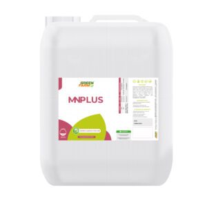 MN PLUS