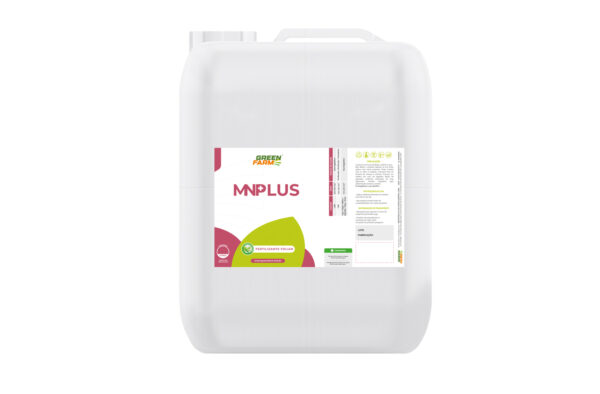 MN PLUS